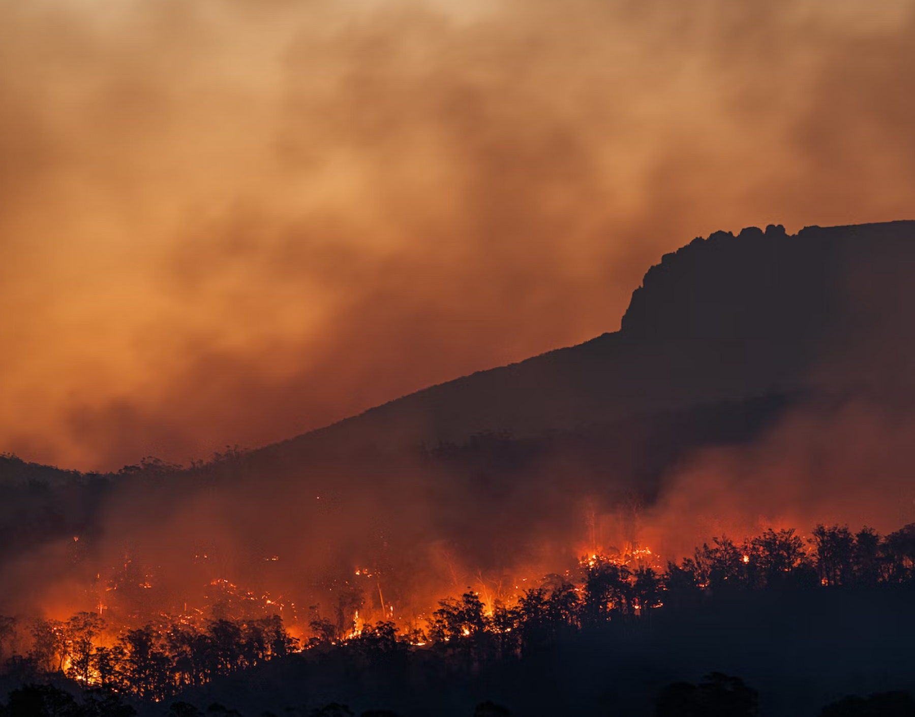 Awareness, Prevention & Readiness