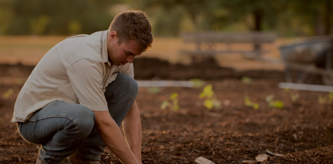 Effective Weed Control