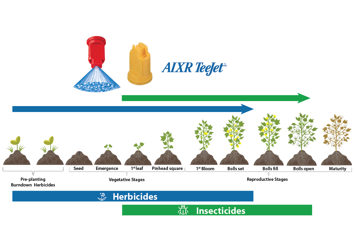 Example image: Cotton Crop Development