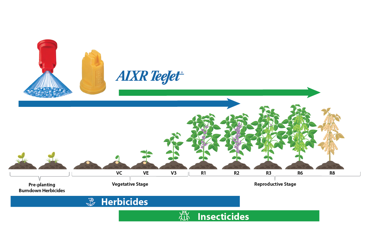 Example image: Soybean Crop Development