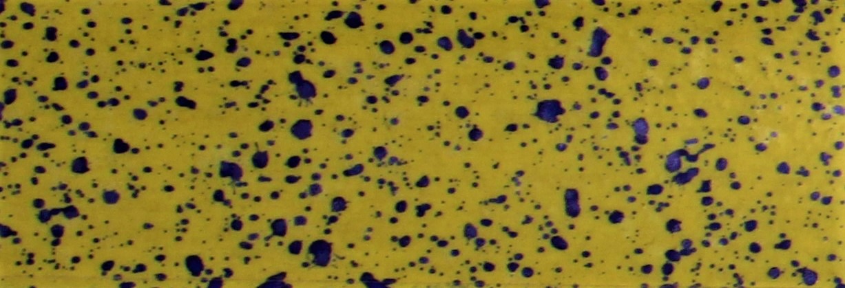 Distribution image: TT 11003-VP at 80l/ha, 1.7 bar and 12km/h