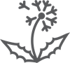 Application image: Contact Herbicides