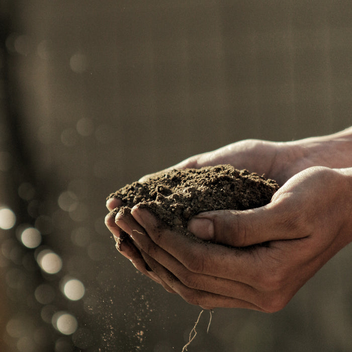 2021 Federal Budget: What It Means For Farmers & Regional Australians