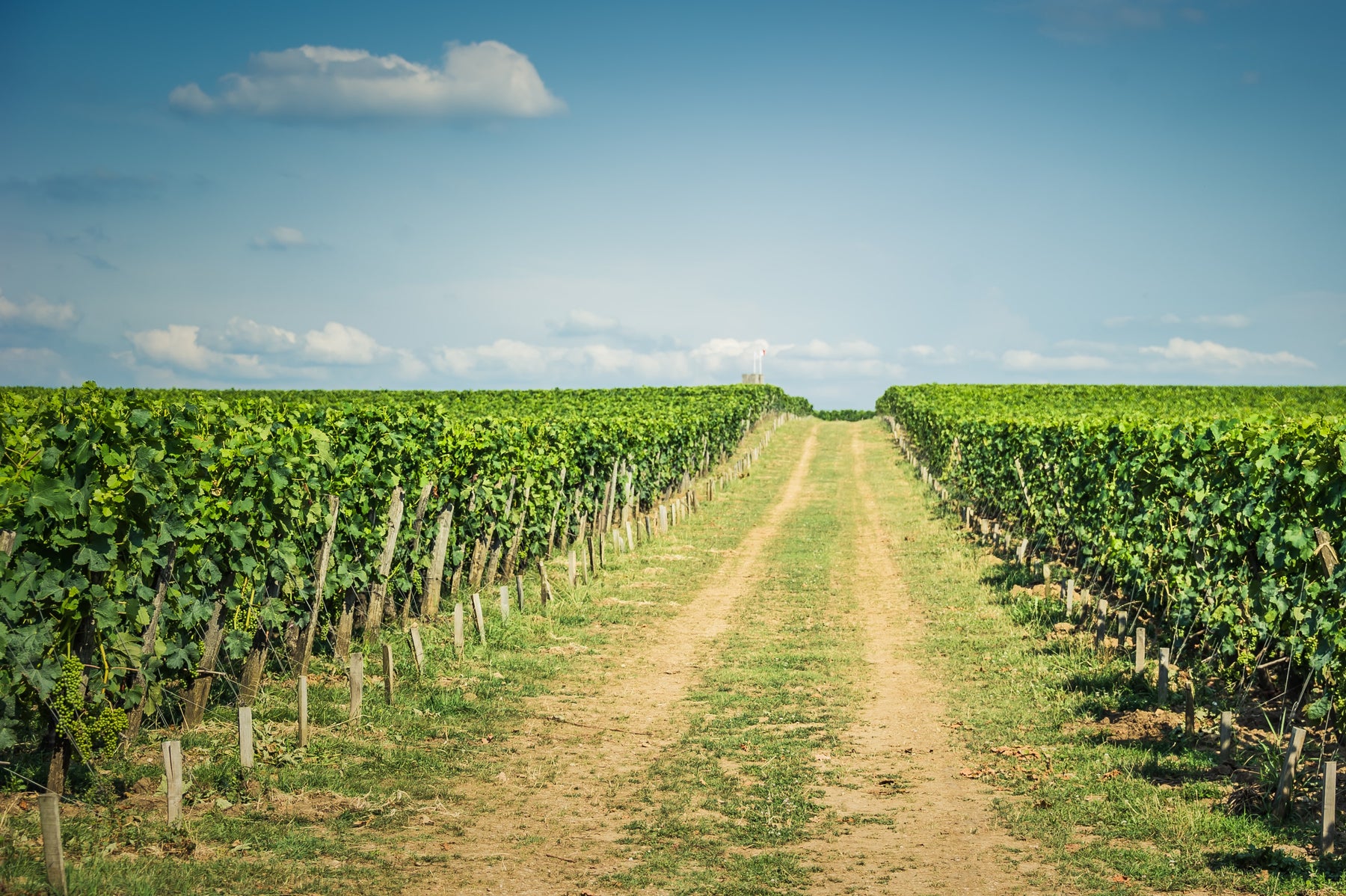 How Farmers Can Get The Most Out of the Instant Asset Write-Off Scheme