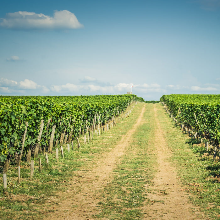 How Farmers Can Get The Most Out of the Instant Asset Write-Off Scheme