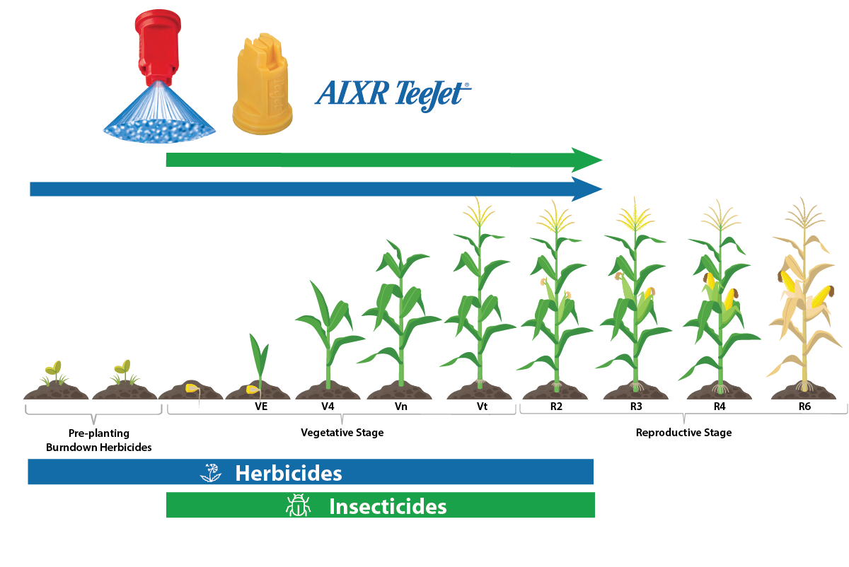 Example image: Corn Crop Development