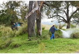 Rapid Spray 325l Marshal Pro With 30m Hose Reel